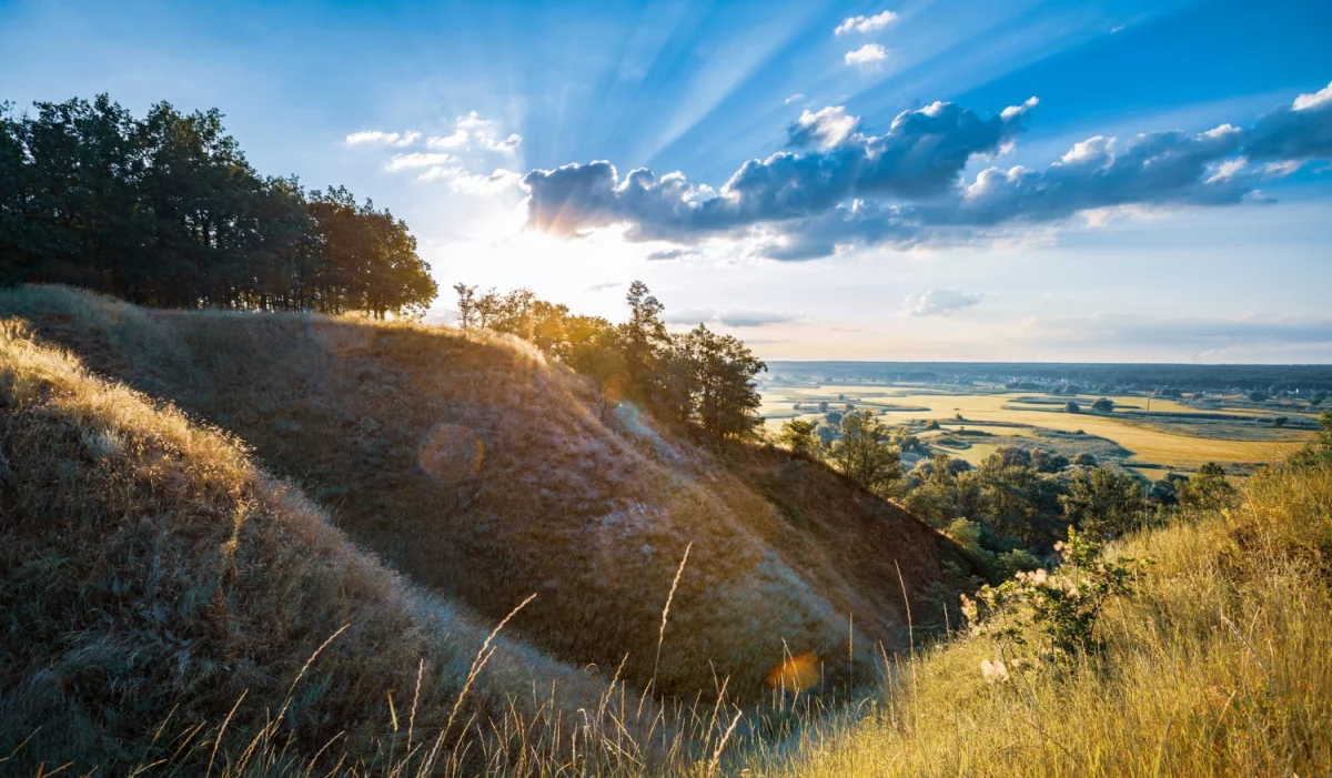 Radzimy jak dostać prawo taniej