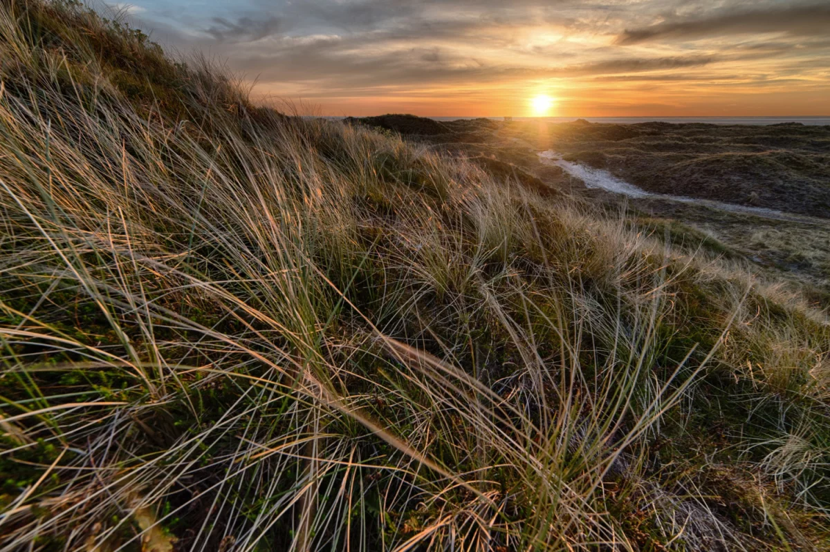 Chciał Tylko zamontować fotowoltaikę w zielonej górze. Popełnił Błąd, Który Kosztował Go ...