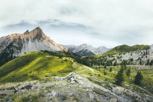 zrobić implanty? Dokładnie!