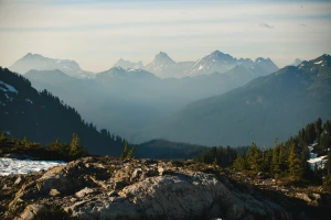 Czy żeby chronić środowisko potrzebne są studia?